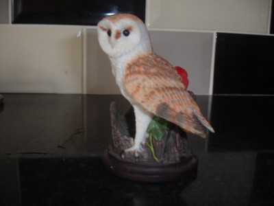 The Country Bird Collection The Barn Owl Hand Painted By Andy