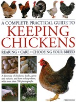 A Complete Practical Guide To Keeping Chickens | Fred Hams | Englisch | Buch