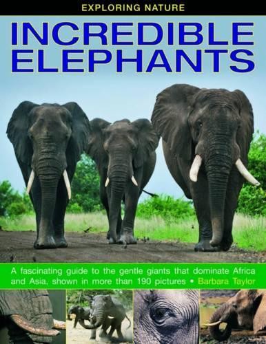 Exploring Nature: Incredible Elephants by Barbara Taylor - 9781861473288