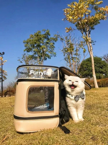 40 cm Large Foldable Detachable Cat Backpack For Adventurous Cats and Humans - Picture 1 of 11