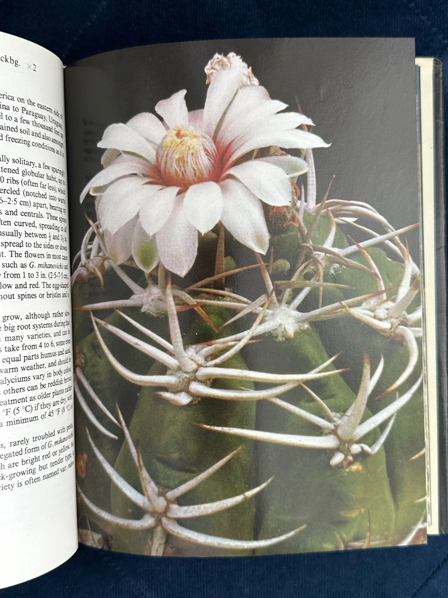 Popular Exotic Cacti in Colour Numbered Vintage Book 1975 Signed First Edition