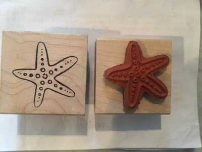 Sketch Starfish Rubber Stamp Sea Star Marine Wildlife by Paper Source size 2*2