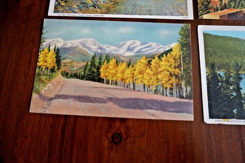 vintage post card lot of 4 Colorado Grand Lake Echo Lake MT Evans Chicago Creek - Picture 4 of 10