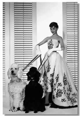 Audrey Hepburn Movie Star Room Club Wall Print Poster 20x30