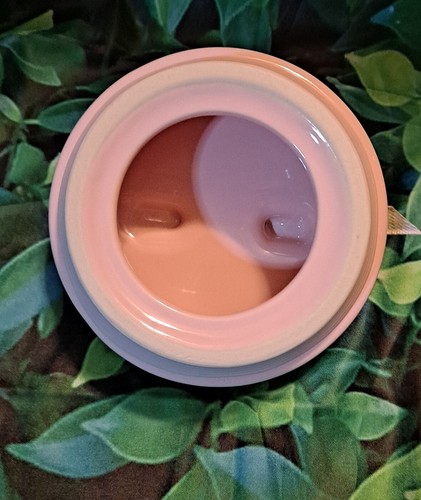 Rae Dunn Coniglietti al cioccolato Con coperchio rosa con fiocco nuovo senza etichette - Foto 5 di 15
