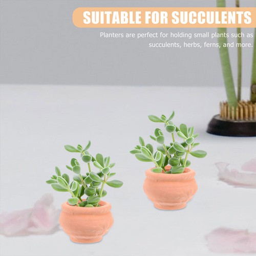 2pcs Mini Flower Pots Tiny Cactus Pots Small Succulent Planter - Picture 11 of 12