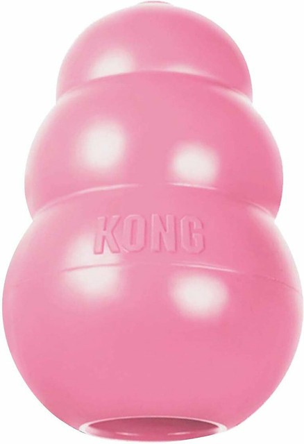 extra small kong
