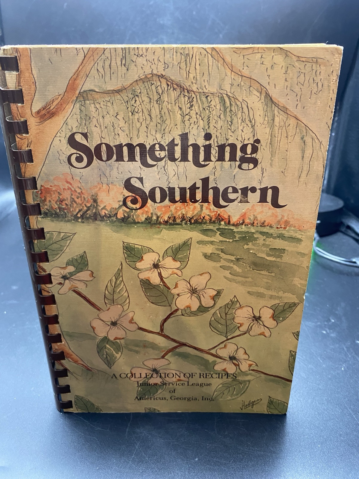 Something Southern: A Collection of Recipes, Spiral bound