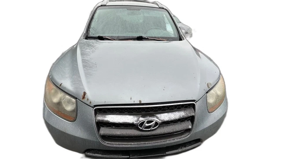 Puerta de llenado de combustible Santa Fe 2007 1343410 Foto 3 de 4