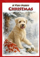 Soft Coated Wheaten Terrier Dog A6 (4" x 6") Christmas Card - Blank inside