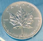 Kanada Maple Leaf 1 Unze Silber 1993