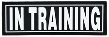 Removable 3D Rubber Patch "IN TRAINING" 1.5" X 4"