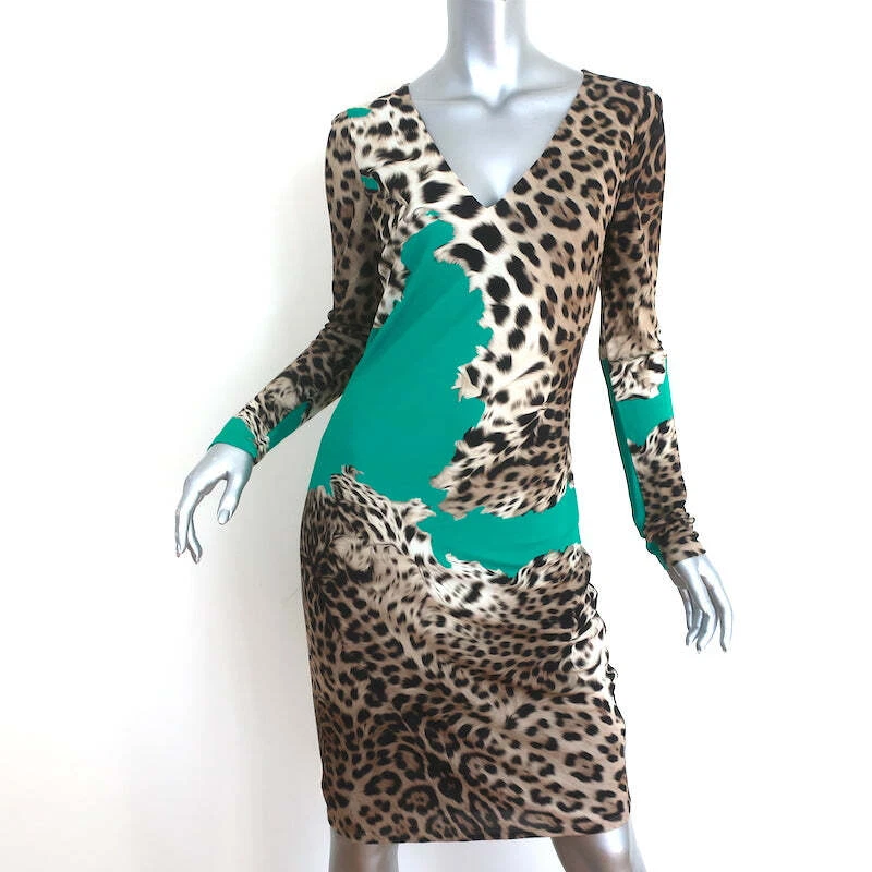 Aqua leopard top print dress