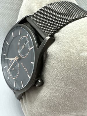 Skagen Holst SKW6180 Women display picture 3