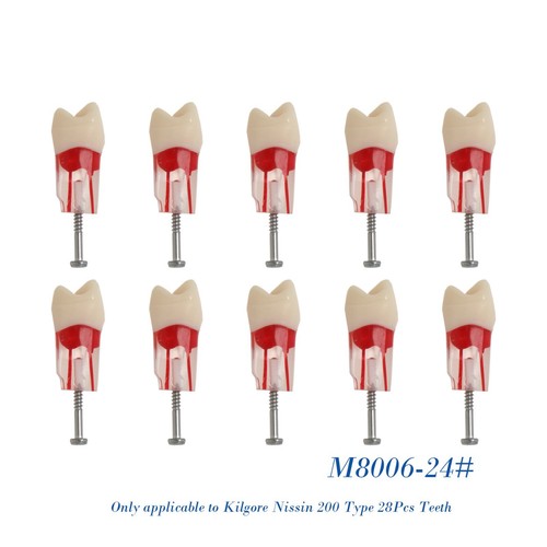 Bloques de estudio de ECA modelo de dientes de práctica de conducto radicular dental para Nissin Kilgore 200 - Imagen 53 de 90