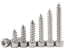 M2 M2.6 M3-M6 304 Stainless Steel Allen Hex Socket Cap Head Sheet Metal Screws