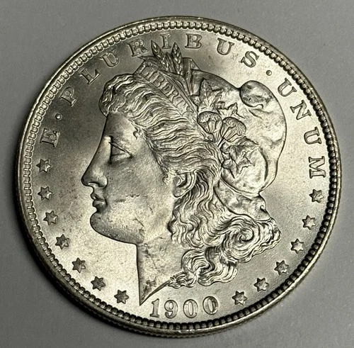 Mint State 1900-P Morgan Silver Dollar (all original!), Low MS BU