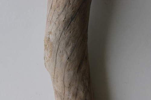 Treibholz Schwemmholz Driftwood 1 Stamm Dekoration Terrarium 49 cm - Bild 4 von 13