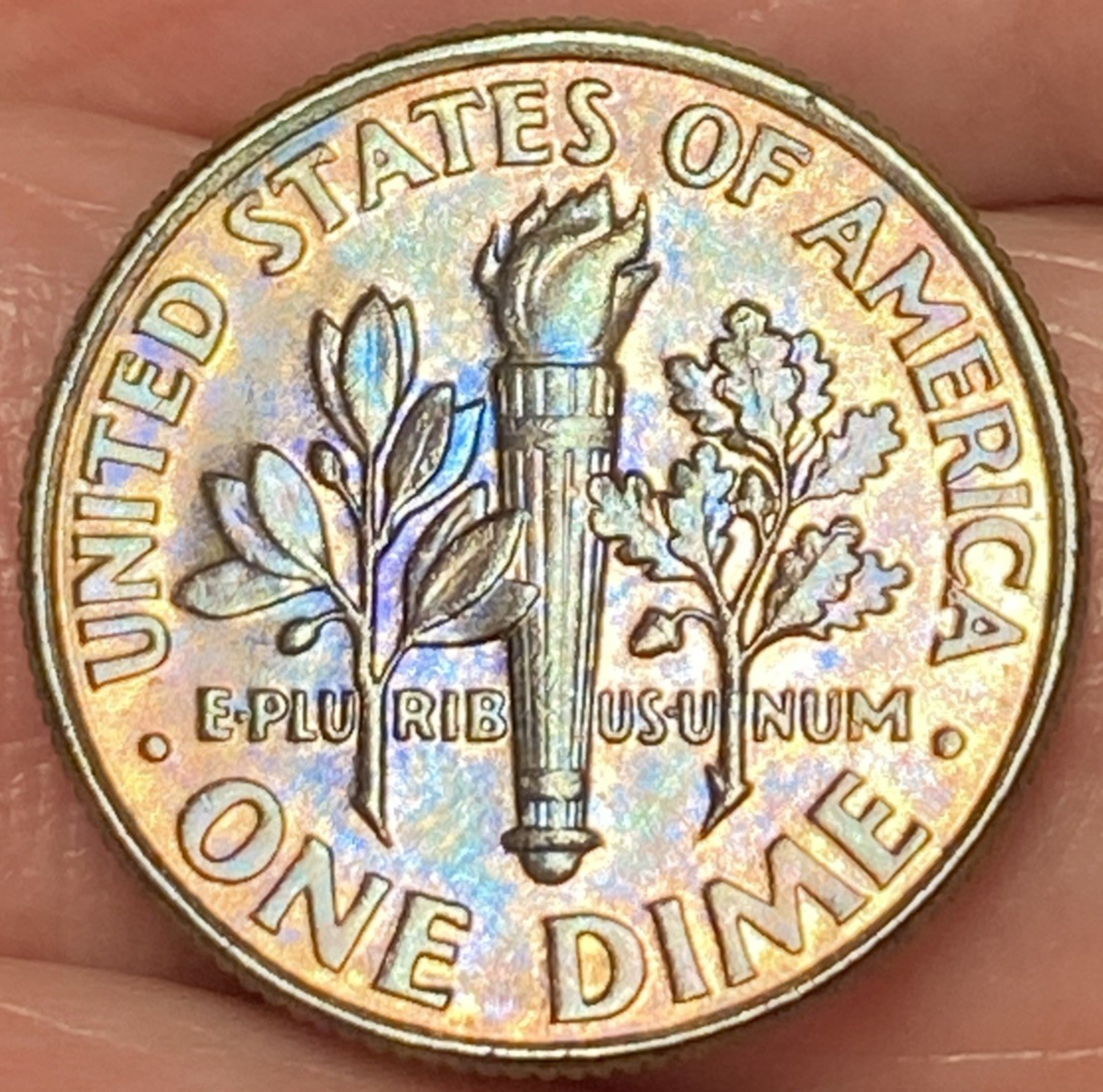 Picture 4 of 12