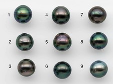 12-13mm Black Tahitian Pearl Near Round Single Loose Piece Undrilled in Natural