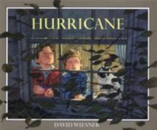 Hurricane Reinforced Library Binding David, Hirsch, James S. WiesFree US Delivery | ISBN:0395543827