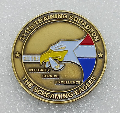 311th Training Squadron Screaming Eagles Challenge Coin (Type 2)