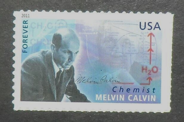 4541 MNH 2011 FCF Melvin Calvin Chemist photosynthesis plants for energy Nobel