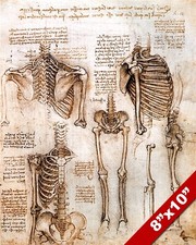 LEONARDO DA VINCI SKETCH PAINTING HUMAN SKELETON ANATOMY REAL CANVAS ART PRINT