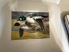 Vintage Collectible Print and Stamp 2014 Michigan Ducks " Goldeneyes At Sundown"