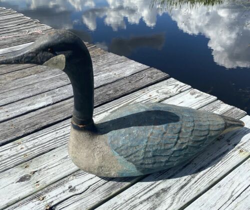CANADA GOOSE FIELD DECOY OR FLOATER PAPER MACHE 27” X 17 1/2” GLASS EYES - Picture 4 of 11