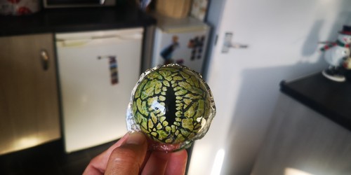 Jurassic Park Velociraptor replica eyes X 3 - Picture 6 of 12