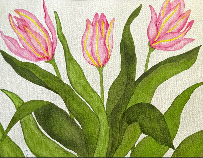 PAINTING WATERCOLOR 11X14 AND MAT 16X20 FLOWER TULIP PINK YELLOW ORIGINAL ART