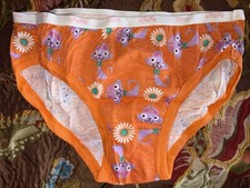Hanes Girls 2013 Floral Size 10 Bikini Cotton Panties Underwear 1 Pair Panty