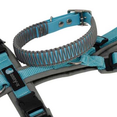 Biothane/Paracord Halsband eisblau/grau 19mm (37-43cm) Biothane  Hundehalsband | eBay.de