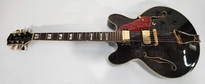 Jay Turser Semi-Hollow Electric Guitars for sale - eBay