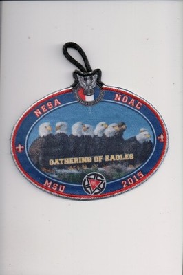 2015 MSU NESA NOAC patch