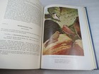 Foto 17 di 19