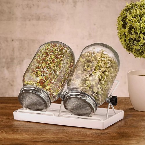 Sprossenglas Keimglas 2er Set Sprouting jar Keimgläser für Sprossen 750ml 21,8cm - Bild 2 von 7