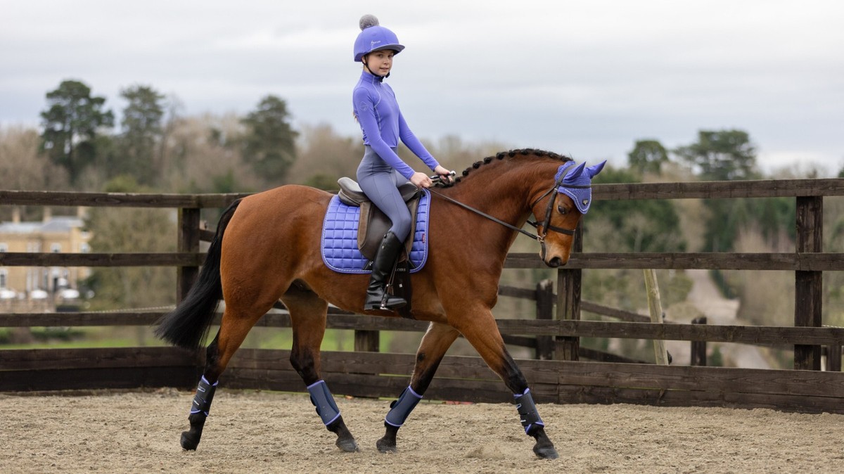 Grand Paon Carré Lemieux Pour Dressage Classique - Occasion - Couleur Bleue