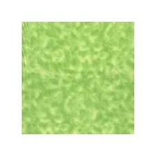 03913 Lime Tie Dye - Flannel Quarter Yard