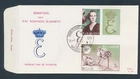 D493535 Belgium FDC Queen Elisabeth Dynasty Museum 1966 P. 184