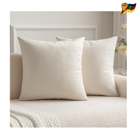 Kissenbezug 45X45Cm Samt KissenhüLle Cremeweiß 2 StüCk Dekokissen Set Wurfkissen