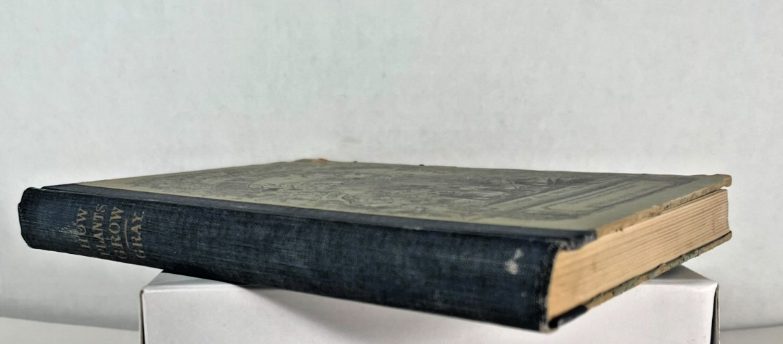 How Plants Grow with A Popular Flora by Asa Gray, M. D. 1858 ACCEPTABLE