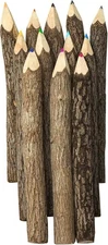 Assorted-Stick Twig Colored Outdoor 1 Count (Pack of 12), assorted color 