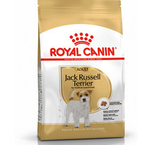 Image of ROYAL CANIN DOG JACK RUSSELL TERRIER BREED 1.5kg, 3kg, 7.5kg : Adult rc Dry Food