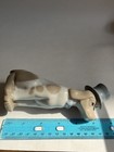 Foto 9 di 9