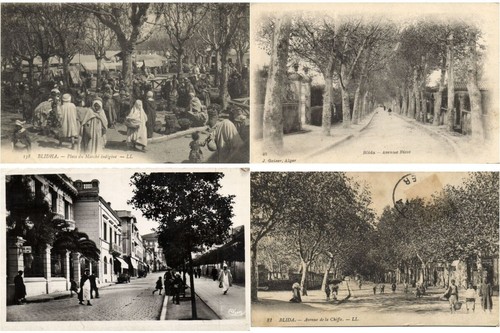 BLIDA ALGERIA, 134 Vintage Postcards Pre-1940 (L7036) - Picture 7 of 20