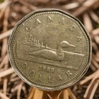 Canada 1-Dollar coin, 1989. KM# 157, bronze-plated nickel. Hendecagonal. Loon.