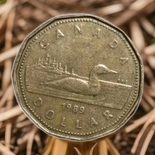 Canada 1-Dollar coin, 1989. KM# 157, bronze-plated nickel. Hendecagonal. Loon.