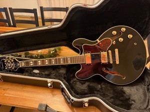 Epiphone Sheraton II Pro | eBay